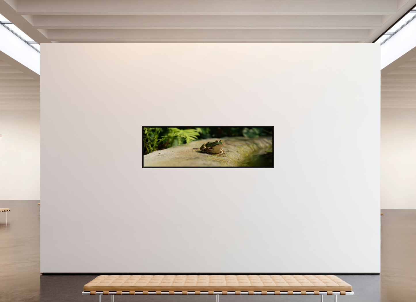198,2 x 60 cm, Floater Frame Kiss that frog