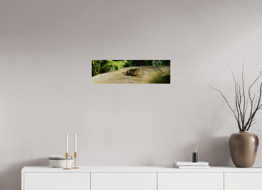 66,1 x 20 cm, Photo Print Under Acrylic Glass Kiss that frog
