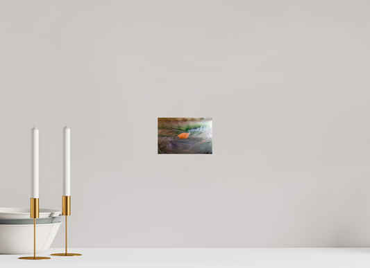 Water, water, everywhere