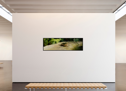 198,2 x 60 cm, Floater Frame Kiss that frog