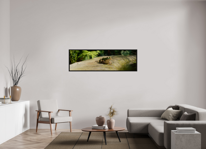 165,2 x 50 cm, Floater Frame Kiss that frog